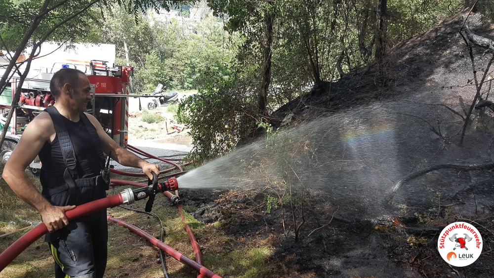 Waldbrand Illgrabenbrücke